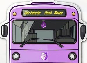 540975149 1353486423445675 4293069187747142463 n - Linia Vulturilor, disponibilă și pentru meciul cu Metaloglobus