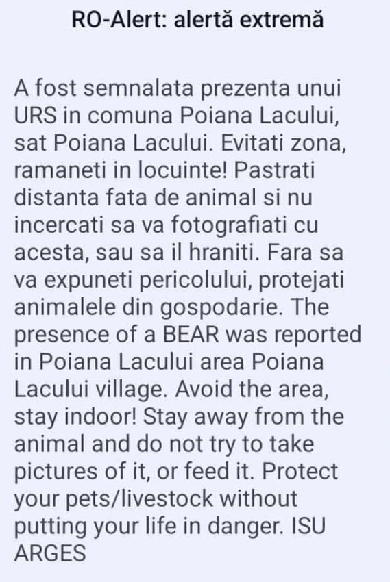 Panică în Poiana Lacului! A fost semnalată prezența unui urs 1 8c580132 03f9 46f3 b53f 897124836c67 - Panică în Poiana Lacului! A fost semnalată prezența unui urs