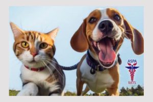 Untitled Project 2 - Sterilizări GRATUITE ale animalelor cu stăpân din TOPOLOVENI