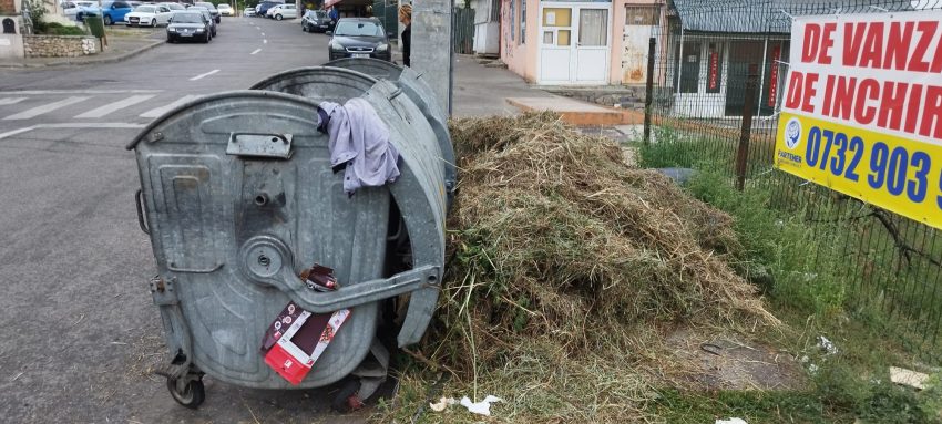 b1642c62 3e0f 4bc6 9503 d66dba091114 - Poliția Locală Pitești, în acțiune! Persoane amendate și mașină ridicată