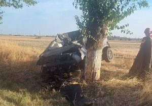 cats 1 - Sfârșit tragic pentru un tânăr de 18 ani! A murit după ce a intrat cu mașina într-un pom