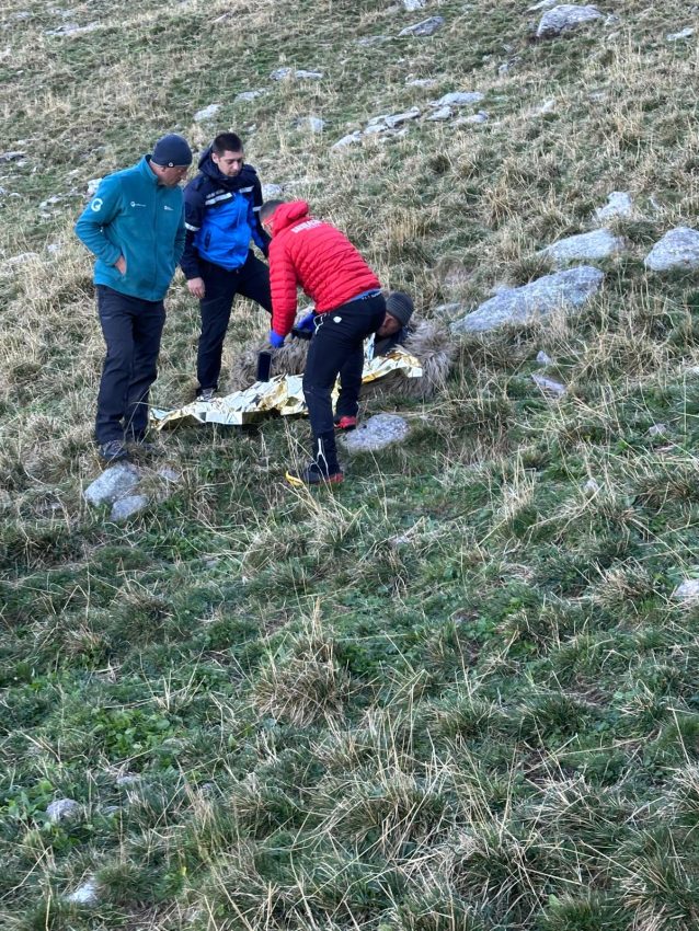 WhatsApp Image 2025 09 16 at 12.34.36 - ARGEȘ. Cioban de 38 de ani, mușcat de urs la stâna