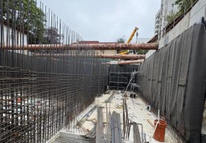 20 de milioane de euro pentru viață: Centrul de Radioterapie din Pitești prinde contur 1 Marius Nicolaescu