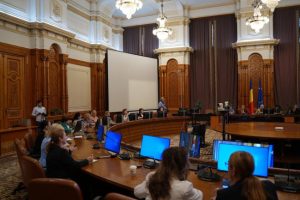 Sursă foto: FB ALina Gorghiu