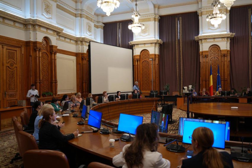 comisia fara violenta domestica cu alina1 Sursă foto: FB ALina Gorghiu