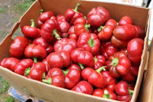 Sursă foto: Casa Tanti Maria - Produse Tradiționale Româneşti