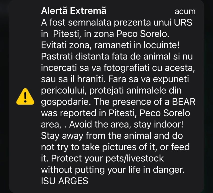 7411bfce d3dd 4f31 aab9 c2f3fdcd613e - Alertă în Pitești! A fost semnalată prezența unui urs