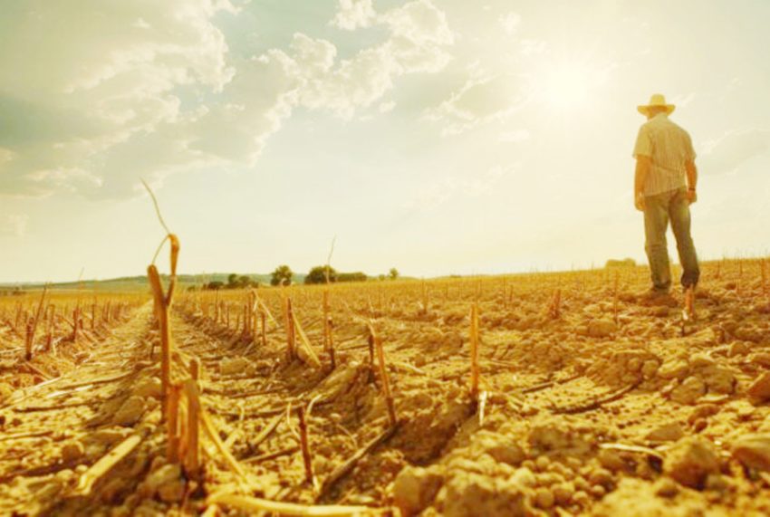 seceta culturi Sursă foto: ediția tipărită.