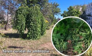 Sursă foto: FB Primăria Municipiului Pitești.