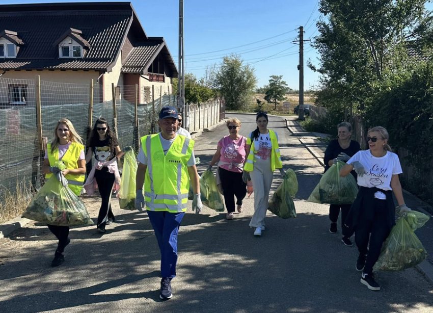 bradu ziua curateniei 1 Sursă foto: FB Dan Stroe.