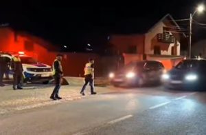 Acțiune de amploare a polițiștilor argeșeni! Aproape 100 de amenzi în doar 4 ore 6 cats 3 - Acțiune de amploare a polițiștilor argeșeni! Aproape 100 de amenzi în doar 4 ore