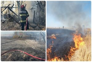 Val de incendii de vegetație în Argeș! O femeie a suferit un atac de panică 5 page - Val de incendii de vegetație în Argeș! O femeie a suferit un atac de panică