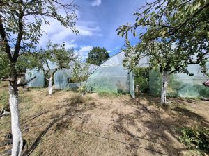 2 - Apă Canal 2000 SA: Consum ilegal de apă descoperit la trei gospodării din comuna Lunca Corbului