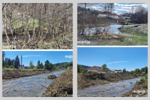 Administrația Bazinală de Apă Argeș-Vedea