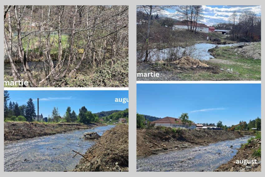 Administrația Bazinală de Apă Argeș-Vedea