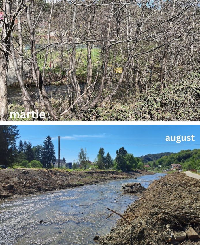 Administrația Bazinală de Apă Argeș-Vedea