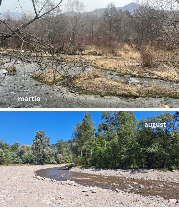 Administrația Bazinală de Apă Argeș-Vedea