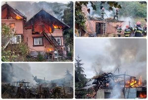 (VIDEO) Incendiu violent într-o gospodărie din comuna Valea Danului! Pagube semnificative 8 page - (VIDEO) Incendiu violent într-o gospodărie din comuna Valea Danului! Pagube semnificative