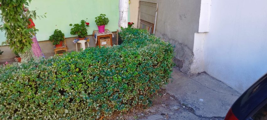 A vrut să-și facă parcare pe spațiul verde. Piteștean amendat de polițiștii locali 5 1fd1b440 3e21 4f44 8e42 e026ae85bc0b - A vrut să-și facă parcare pe spațiul verde. Piteștean amendat de polițiștii locali