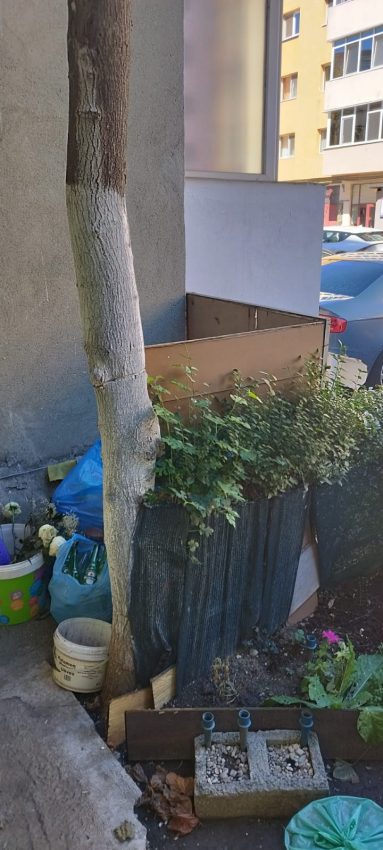 A vrut să-și facă parcare pe spațiul verde. Piteștean amendat de polițiștii locali 4 302f5372 b6dc 4a2c b3fa 98f8012a4dc6 - A vrut să-și facă parcare pe spațiul verde. Piteștean amendat de polițiștii locali