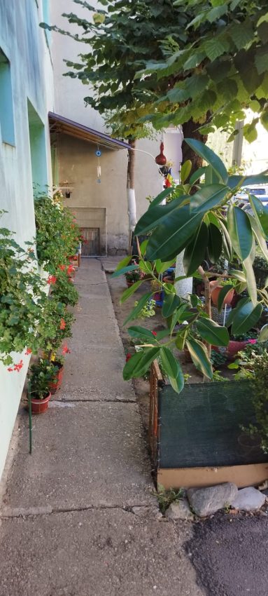 5477f4bc 6795 4de6 a62b 77418d0dd9ef - A vrut să-și facă parcare pe spațiul verde. Piteștean amendat de polițiștii locali