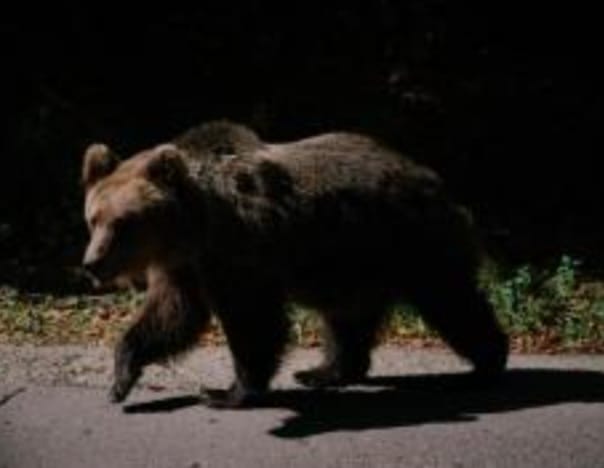 475791908_953655486741902_6716303983448154449_n