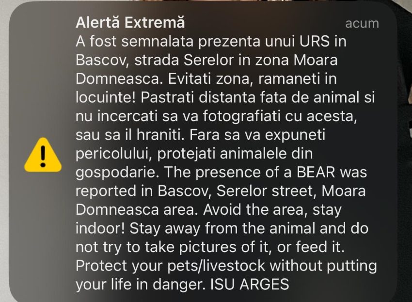 Alertă în Bascov! A fost semnalată prezența unui urs 1 da6a303a 3483 48c1 a888 4dc624fab106 - Alertă în Bascov! A fost semnalată prezența unui urs