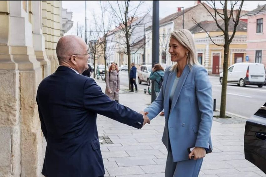 Sursă foto: Fb Alina Gorghiu