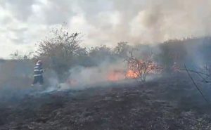 14 incendii în Argeș, în weekend! 1 cats - 14 incendii în Argeș, în weekend!