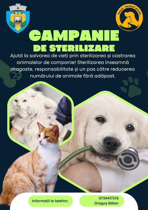 Campania de sterilizare a câinilor și a pisicilor continuă în comuna Bradu 1 559120794 2408383916222729 6099264438251372907 n - Campania de sterilizare a câinilor și a pisicilor continuă în comuna Bradu