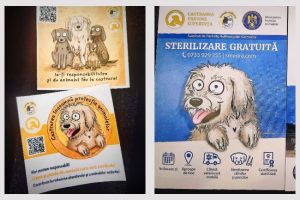 IPJ Argeș: Respectul față de animale reflectă respectul față de viață! 19 animale campanie
