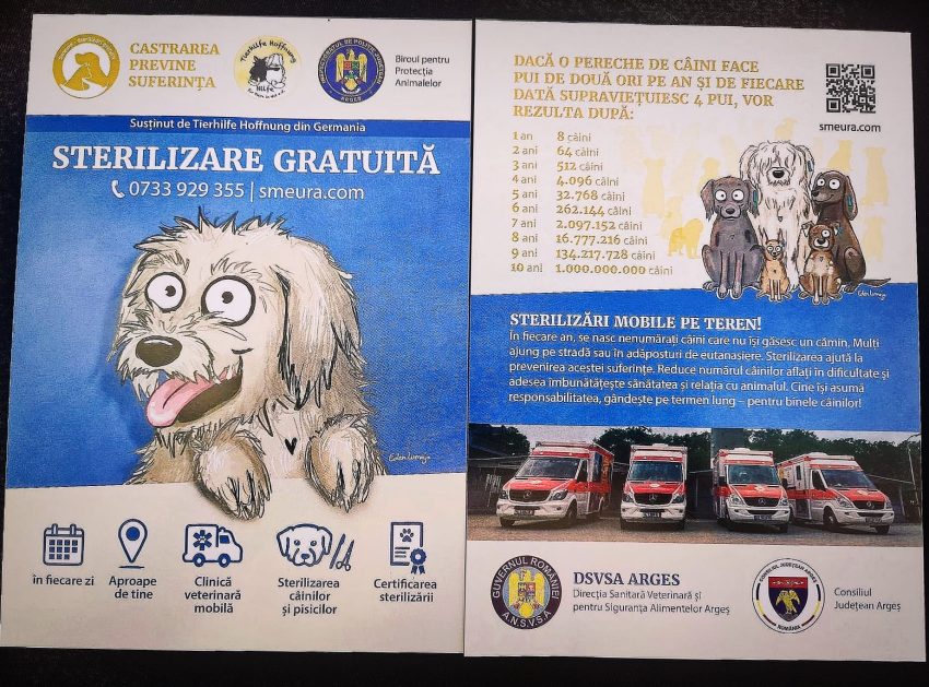 IPJ Argeș: Respectul față de animale reflectă respectul față de viață! 2 WhatsApp Image 2025 10 04 at 10.01.49 - IPJ Argeș: Respectul față de animale reflectă respectul față de viață!