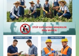 562035860 823126070217986 5651536968788318909 n - Inspecția Muncii a aplicat amenzi de peste 1 milion de lei în Campania Națională pentru Zilieri! Nereguli majore