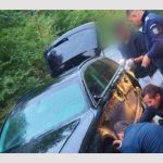 Patru jandarmi argeșeni au ajutat un șofer blocat pe carosabil 12 interventie jandarmi argeseni
