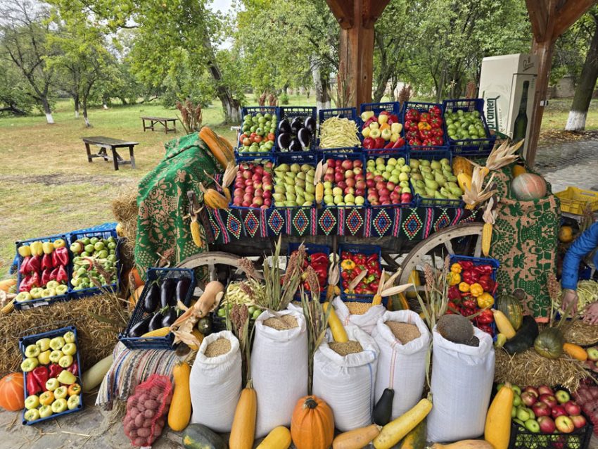 legume fructe de toamna rod cu spor 2025 deschidere Sursă foto: FB CJ Arges