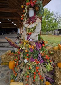 Sursă foto: FB CJ Arges