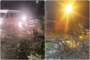 page - Pompierii argeșeni, în alertă! Copaci căzuți pe carosabil în mai multe localități din Argeș
