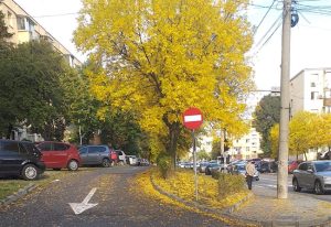 Sursă foto: FB Primăria Municipiului Pitești.