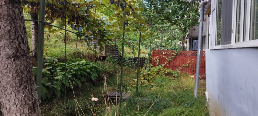 034f6afb df0d 417f a0cd 4903b2d1b717 - Pitești. Împrejmuiri improvizate desființate de autorități în cartierul Banat