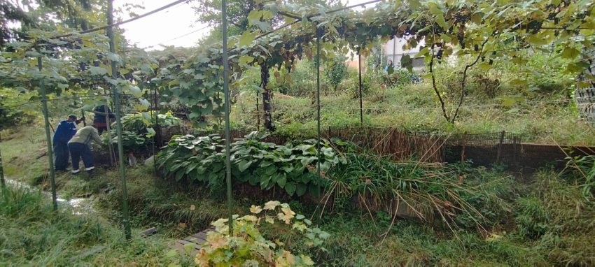 888da46e 6b74 4704 8e8f 196116d802df - Pitești. Împrejmuiri improvizate desființate de autorități în cartierul Banat