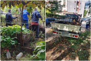 Pitești. Împrejmuiri improvizate desființate de autorități în cartierul Banat 11 cats 1 - Pitești. Împrejmuiri improvizate desființate de autorități în cartierul Banat