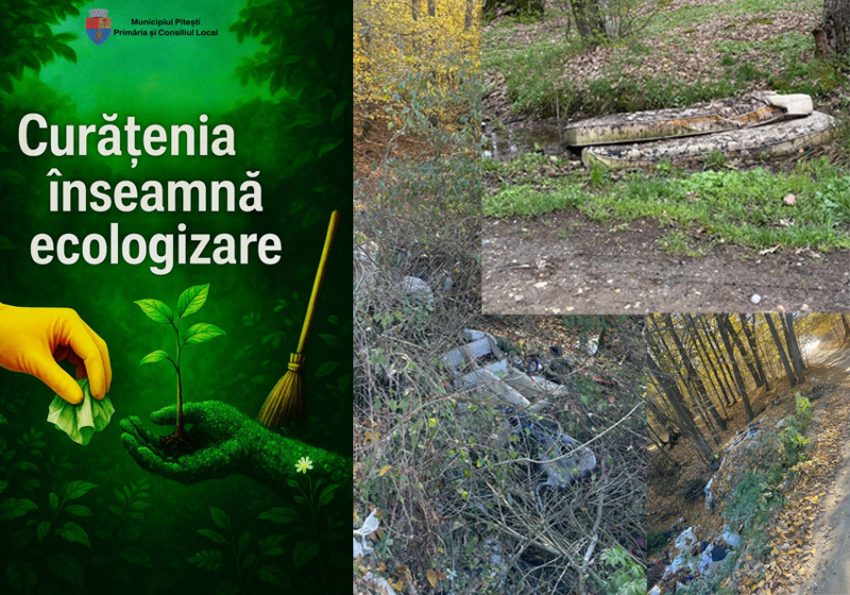 deschidere curatenie 2 Sursă foto: FB Primăria Municipiului Pitești.