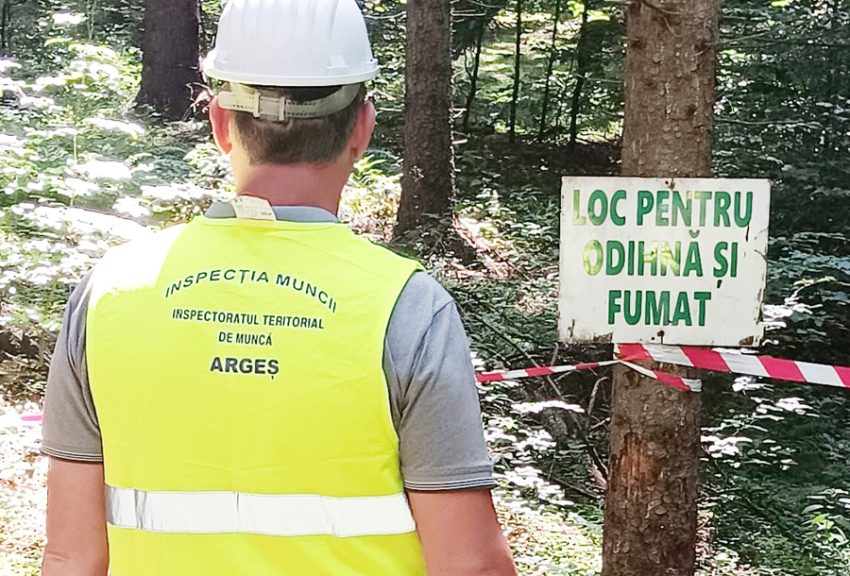 Sursă foto: ediția tipărită.