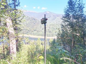 Sursă foto: ediția tipărită.