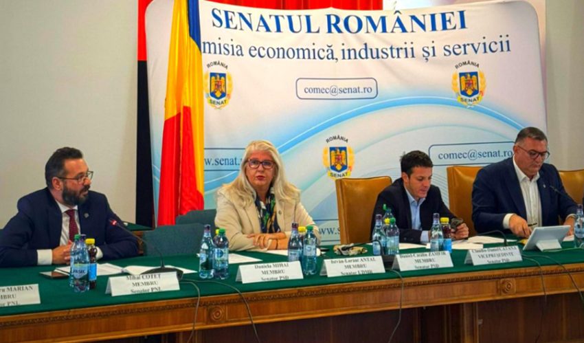 Sursă foto: FB Mihai Cotet