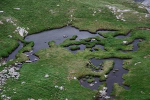 Sursă foto: FB CJ ARgeș.