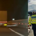 (VIDEO) Șofer de TIR oprit la timp pe A1! Avea o alcoolemie uriașă 15 cats - (VIDEO) Șofer de TIR oprit la timp pe A1! Avea o alcoolemie uriașă