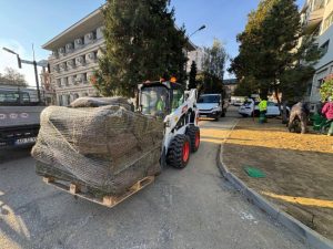 Sursă foto: FB Primăria Municipiului Pitești.