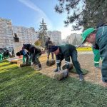 Din schiță în realitate: noi amenajări peisagistice în Pitești 11 Sursă foto: FB Primăria Municipiului Pitești.