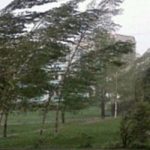 Meteorologii anunţă vânt puternic până vineri seară 11 cats 1 - Meteorologii anunţă vânt puternic până vineri seară
